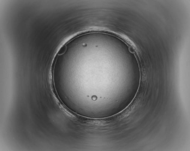 X0000116301287200912071241