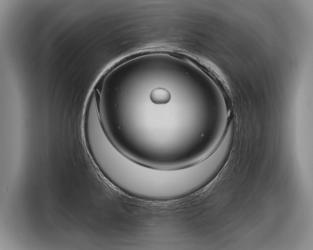 X0000116301288200912071241