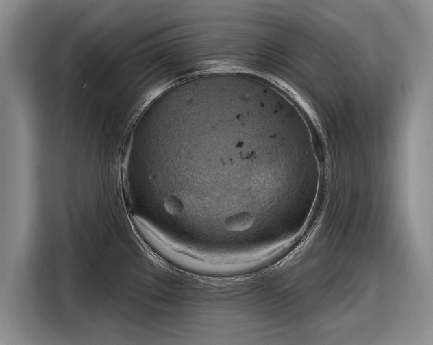 X0000116301289200912071241