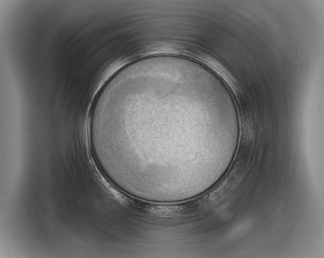 X0000116301290200912071241