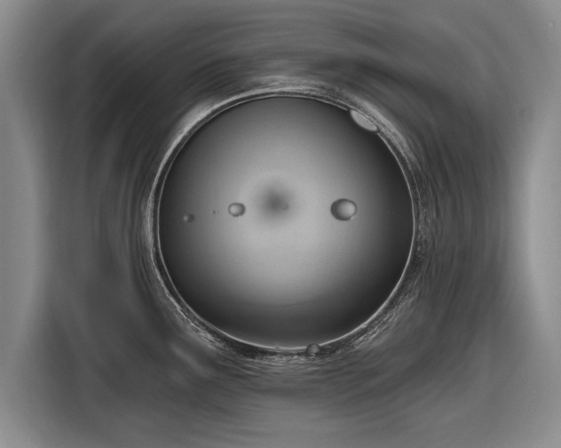 X0000116301291200912071241