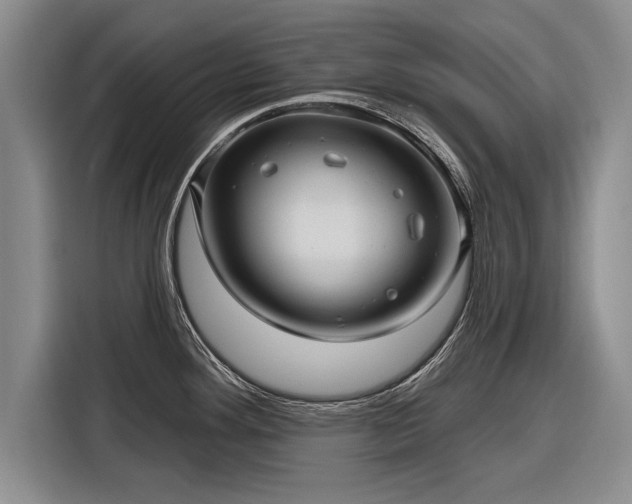 X0000116301292200912071241