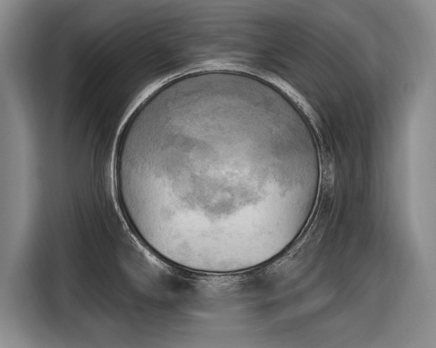 X0000116301294200912071241