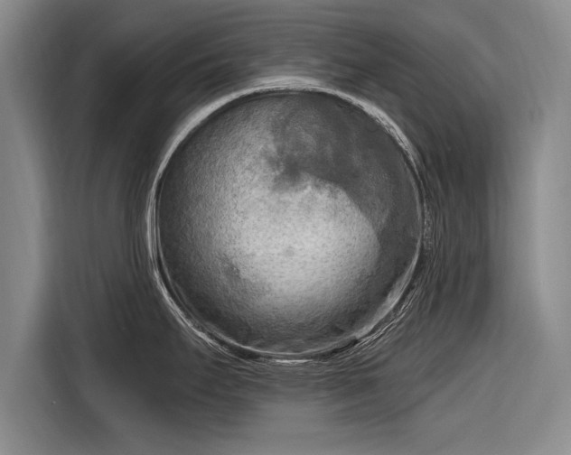 X0000116301295200912071241