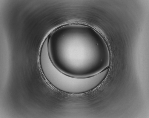 X0000116301296200912071241