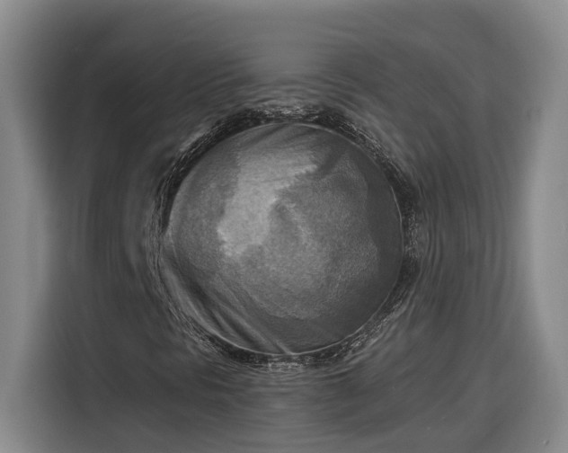 X0000116301297200912071240