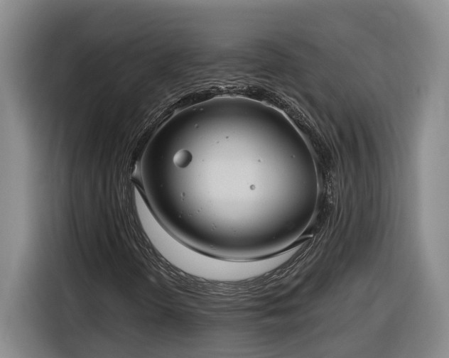 X0000116301298200912071240