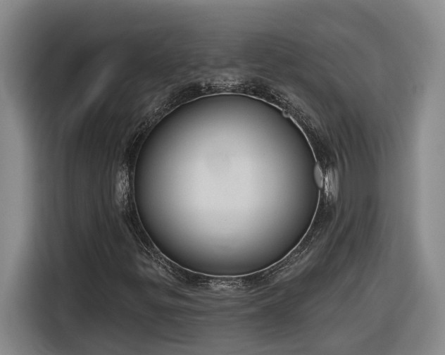 X0000116301299200912071240