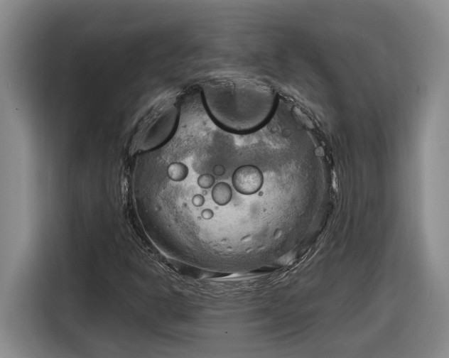 X0000116301302200912071240