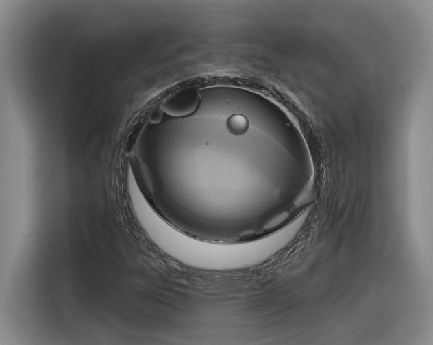 X0000116301303200912071240