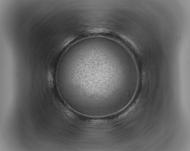 X0000116301305200912071240