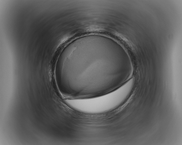 X0000116301306200912071240