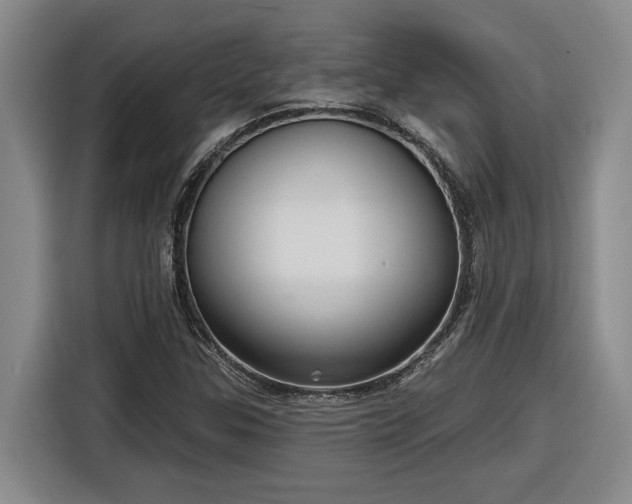 X0000116301307200912071240