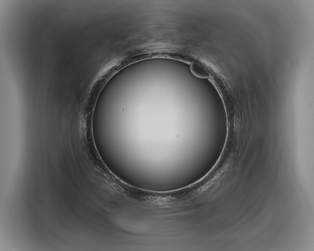 X0000116301309200912071240