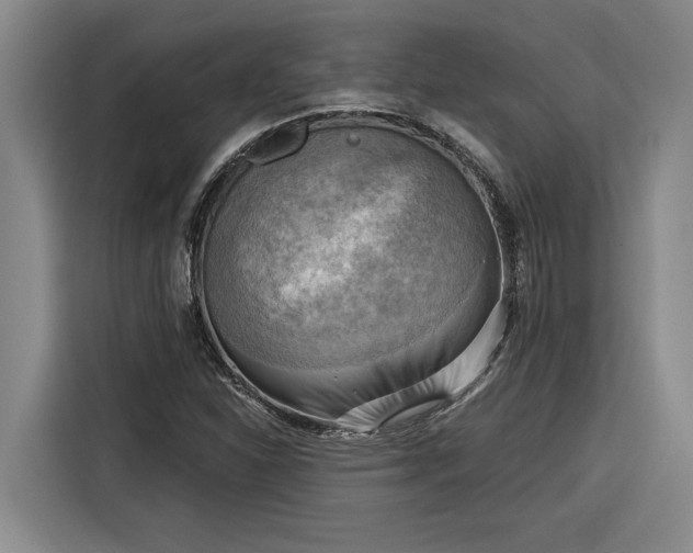 X0000116301310200912071240