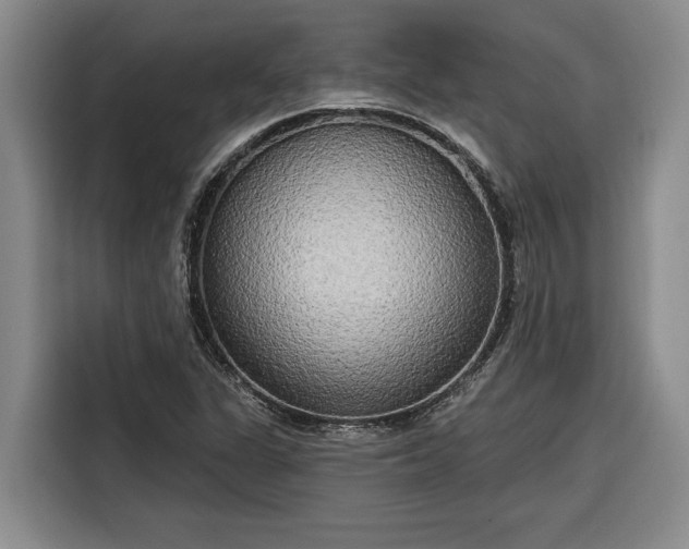 X0000116301311200912071240