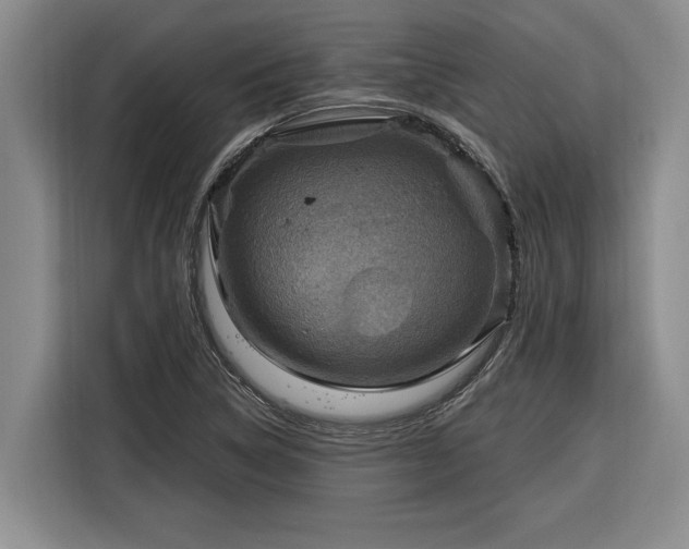 X0000116301314200912071240