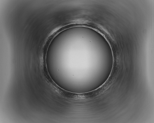 X0000116301315200912071240