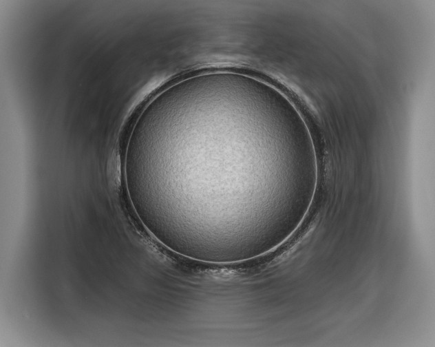 X0000116301317200912071240