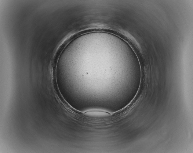 X0000116301318200912071240