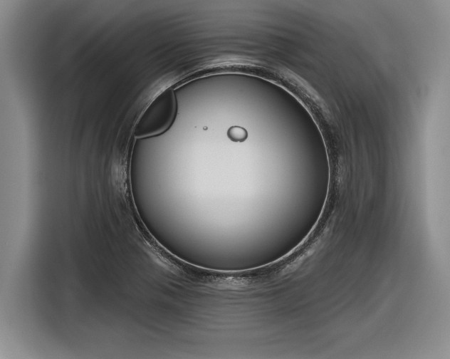 X0000116301321200912071240