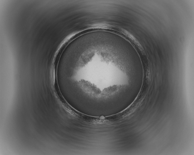 X0000116301323200912071240