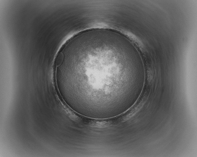 X0000116301326200912071240