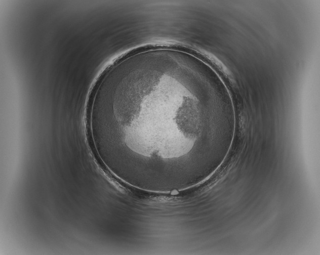 X0000116301327200912071241