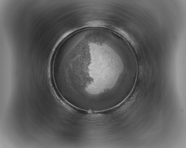 X0000116301331200912071241