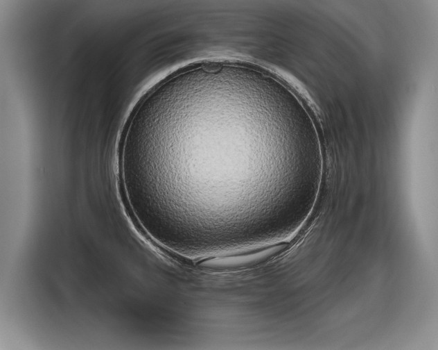 X0000116301335200912071241