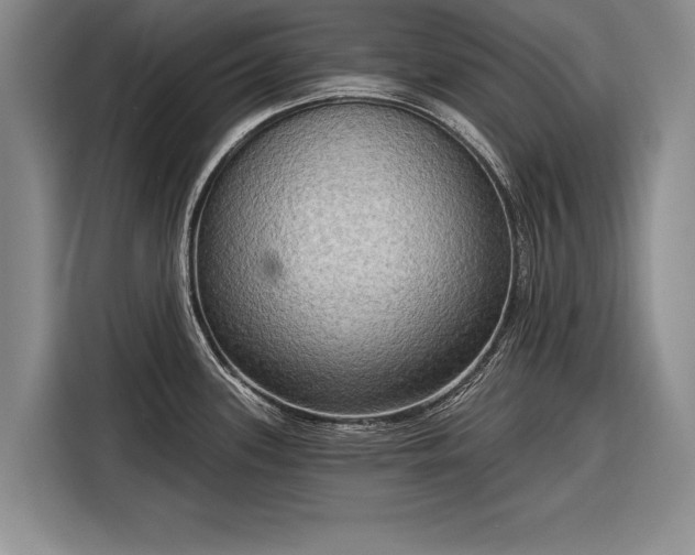 X0000116301339200912071241