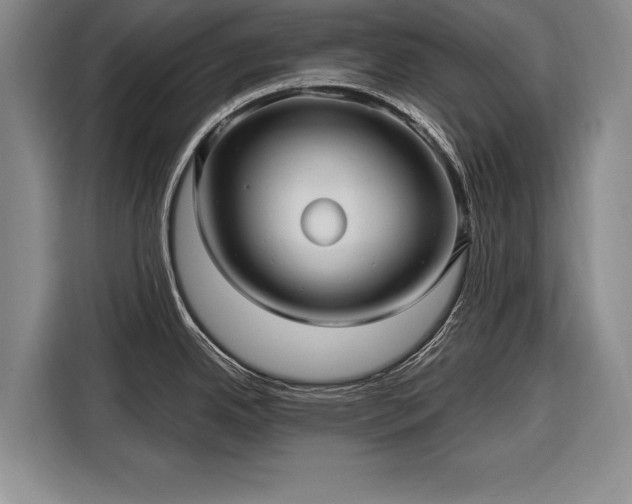 X0000116301342200912071241