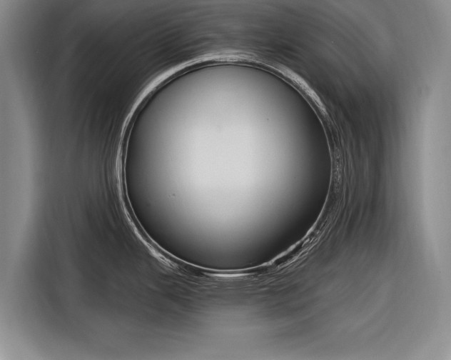 X0000116301343200912071241