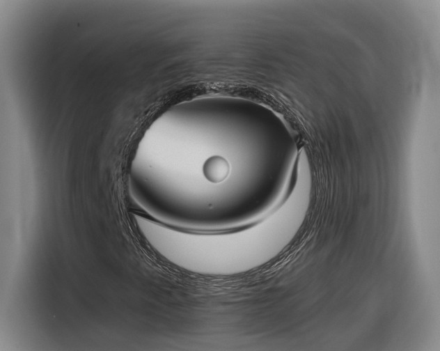 X0000116301345200912071240