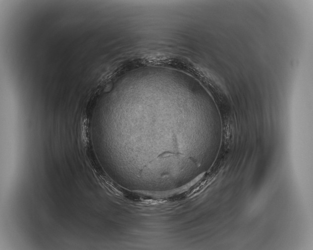 X0000116301346200912071240