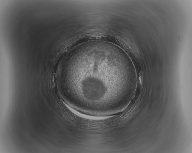 X0000116301347200912071240