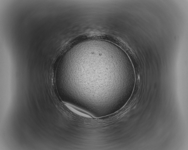 X0000116301348200912071240