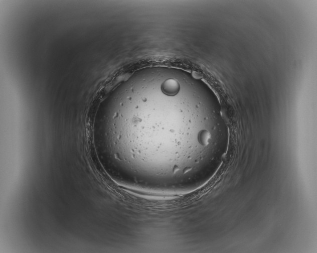 X0000116301349200912071240