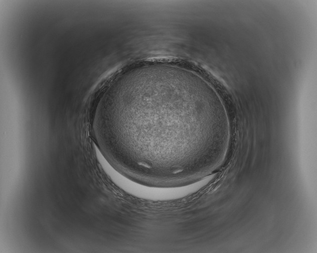 X0000116301351200912071240