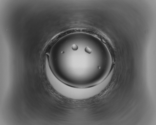 X0000116301352200912071240