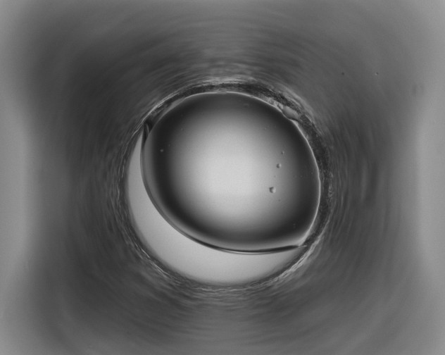 X0000116301353200912071240