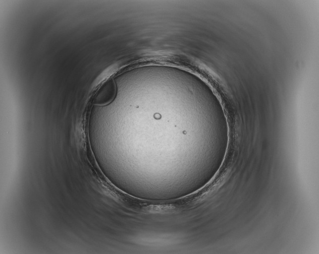 X0000116301354200912071240