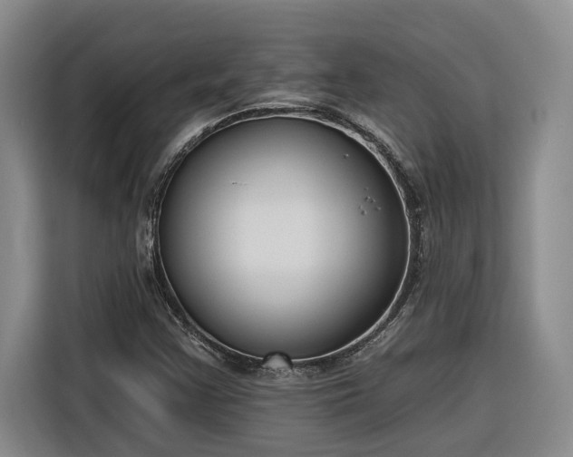 X0000116301355200912071240