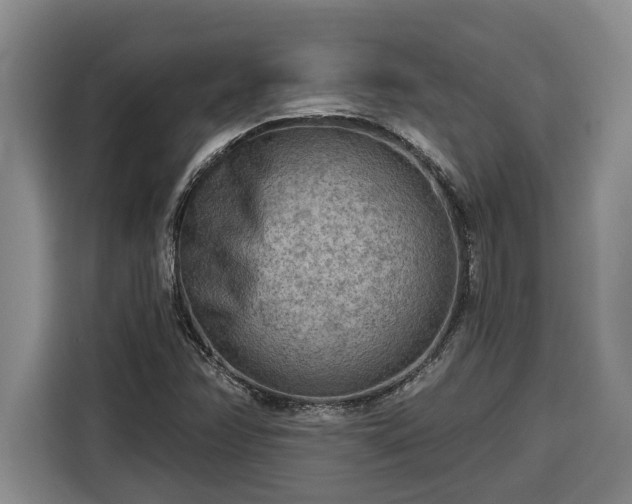 X0000116301358200912071240