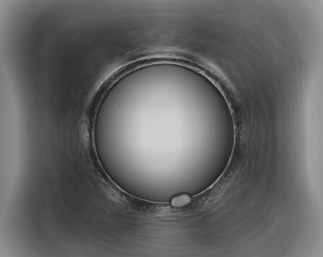 X0000116301360200912071240