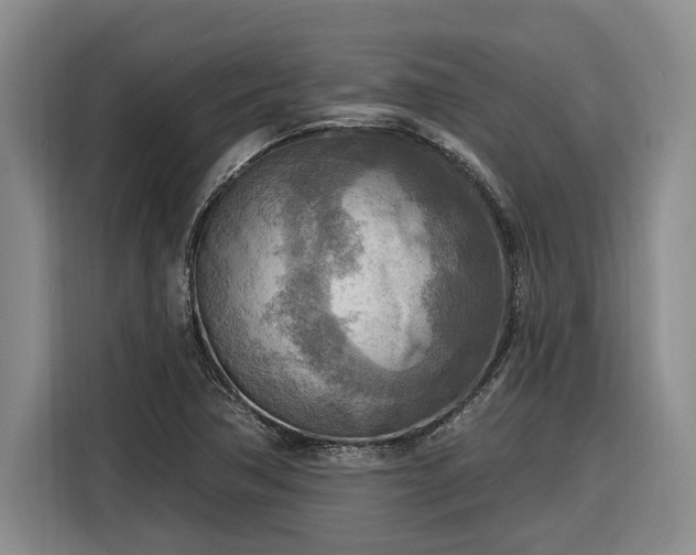 X0000116301362200912071240