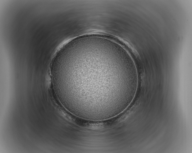 X0000116301363200912071240