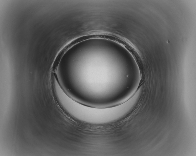 X0000116301364200912071240