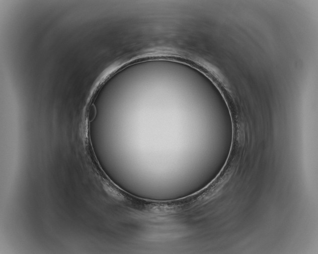 X0000116301366200912071240