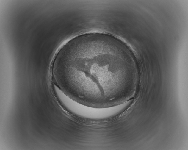 X0000116301367200912071240